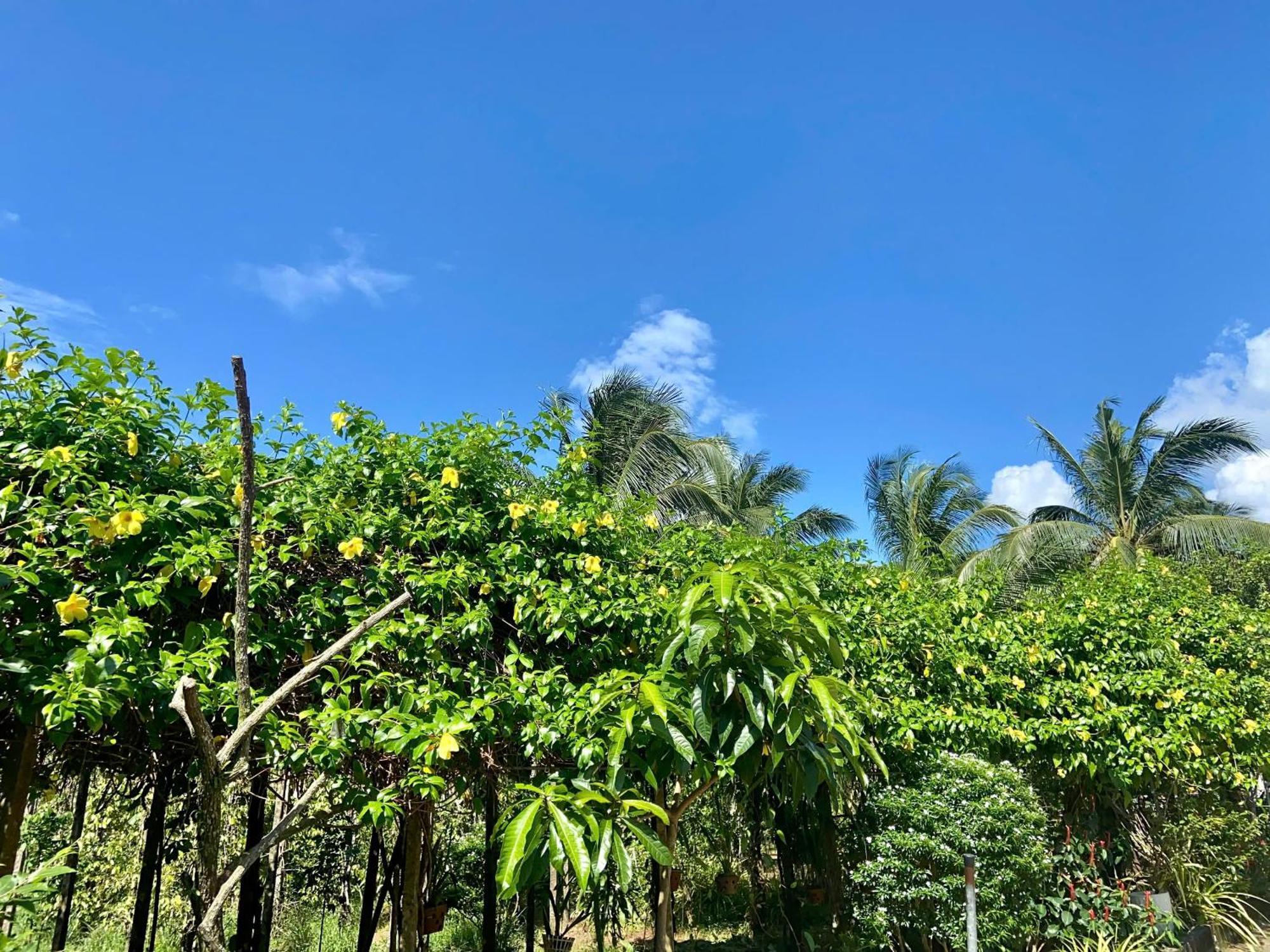 Y Nghia Bungalow Ong Lang Phu Quoc Buitenkant foto