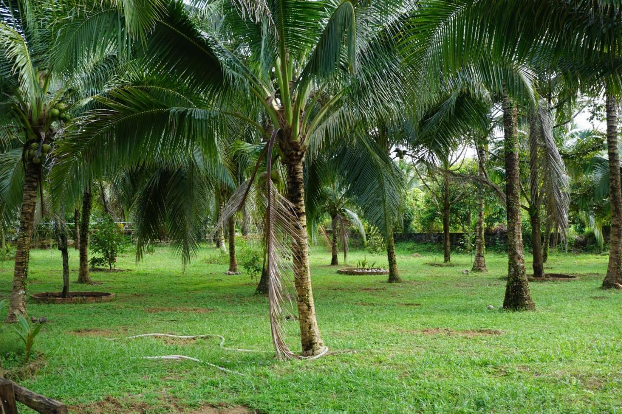 Y Nghia Bungalow Ong Lang Phu Quoc Buitenkant foto